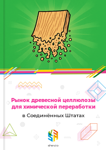 Рынок древесной целлюлозы для химической переработки в Соединённых Штатах