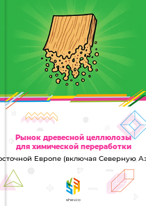 Рынок древесной целлюлозы для химической переработки в Восточной Европе (включая Северную Азию)