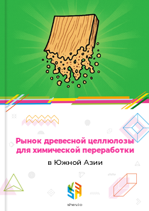 Рынок древесной целлюлозы для химической переработки в Южной Азии