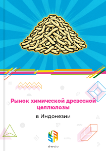 Рынок химической древесной целлюлозы в Индонезии