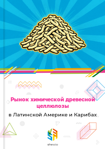 Рынок химической древесной целлюлозы в Латинской Америке и Карибах