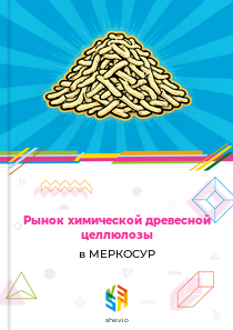 Рынок химической древесной целлюлозы в МЕРКОСУР