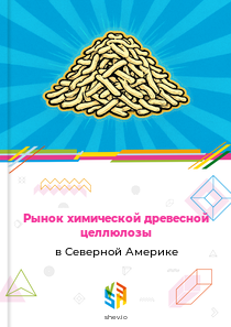 Рынок химической древесной целлюлозы в Северной Америке