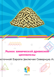 Рынок химической древесной целлюлозы в Восточной Европе (включая Северную Азию)