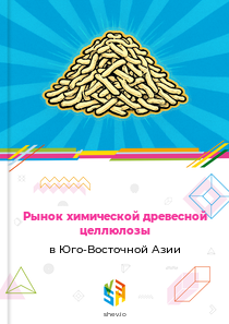 Рынок химической древесной целлюлозы в Юго-Восточной Азии