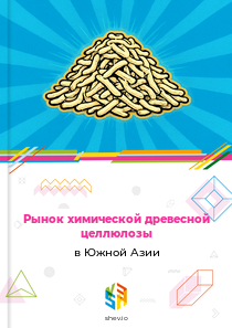 Рынок химической древесной целлюлозы в Южной Азии