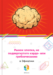 Рынок хлопка, не подвергнутого кардо- или гребнечесанию в Эфиопии