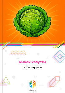 Рынок капусты в Беларуси