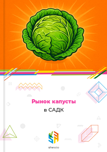 Рынок капусты в САДК