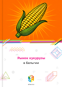 Рынок кукурузы в Бельгии