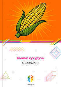 Рынок кукурузы в Бразилии
