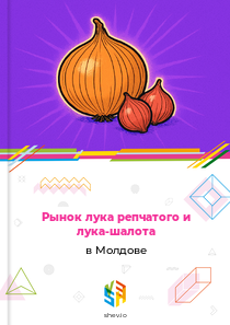 Рынок лука репчатого и лука-шалота в Молдове