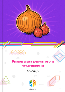 Рынок лука репчатого и лука-шалота в САДК