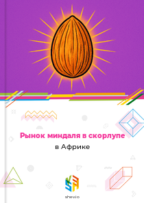 Рынок миндаля в скорлупе в Африке