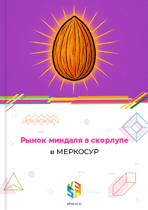 Рынок миндаля в скорлупе в МЕРКОСУР