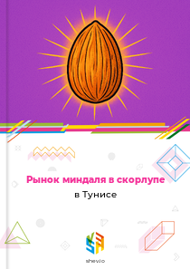 Рынок миндаля в скорлупе в Тунисе