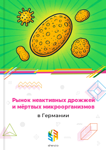 Рынок неактивных дрожжей и мёртвых микроорганизмов в Германии