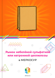 Рынок небелёной сульфатной или натронной целлюлозы в МЕРКОСУР