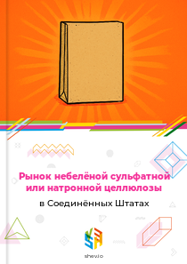 Рынок небелёной сульфатной или натронной целлюлозы в Соединённых Штатах