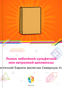 Рынок небелёной сульфатной или натронной целлюлозы в Восточной Европе (включая Северную Азию)