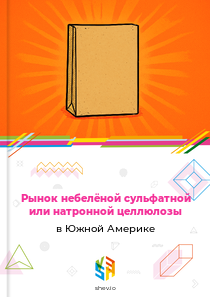 Рынок небелёной сульфатной или натронной целлюлозы в Южной Америке