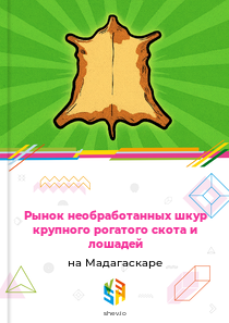 Рынок необработанных шкур крупного рогатого скота и лошадей на Мадагаскаре
