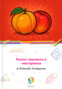 Рынок персиков и нектаринов в Южной Америке