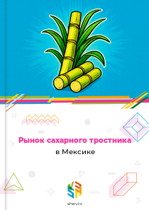 Рынок сахарного тростника в Мексике