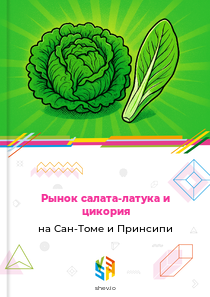 Рынок салата-латука и цикория на Сан-Томе и Принсипи