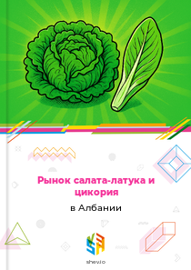 Рынок салата-латука и цикория в Албании