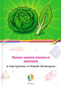 Рынок салата-латука и цикория в Австралии и Новой Зеландии