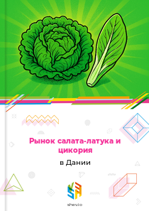 Рынок салата-латука и цикория в Дании