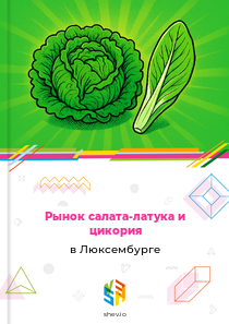 Рынок салата-латука и цикория в Люксембурге