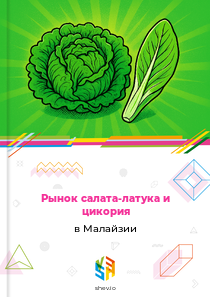 Рынок салата-латука и цикория в Малайзии