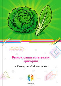 Рынок салата-латука и цикория в Северной Америке