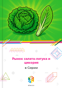 Рынок салата-латука и цикория в Сирии