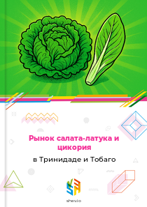 Рынок салата-латука и цикория в Тринидаде и Тобаго