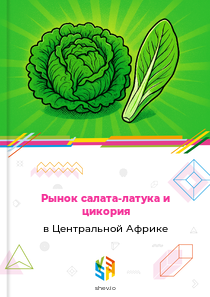 Рынок салата-латука и цикория в Центральной Африке