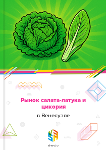 Рынок салата-латука и цикория в Венесуэле