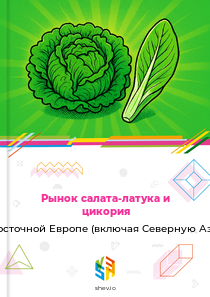 Рынок салата-латука и цикория в Восточной Европе (включая Северную Азию)