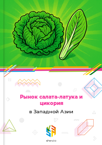 Рынок салата-латука и цикория в Западной Азии