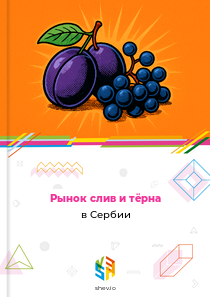 Рынок слив и тёрна в Сербии