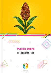 Рынок сорго в Мозамбике