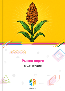 Рынок сорго в Сенегале
