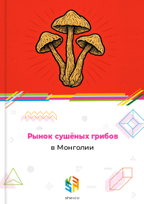 Рынок сушёных грибов в Монголии