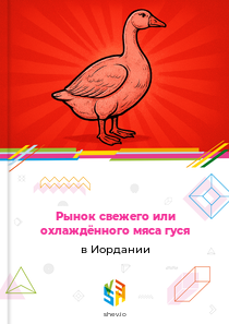 Рынок свежего или охлаждённого мяса гуся в Иордании