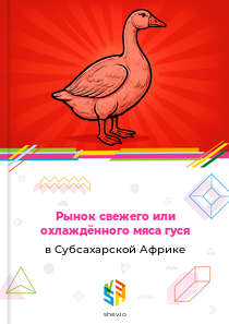 Рынок свежего или охлаждённого мяса гуся в Субсахарской Африке