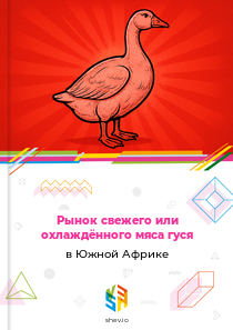 Рынок свежего или охлаждённого мяса гуся в Южной Африке
