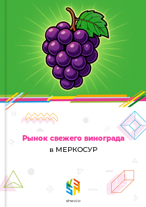 Рынок свежего винограда в МЕРКОСУР