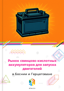 Рынок свинцово-кислотных аккумуляторов для запуска двигателей в Боснии и Герцеговине